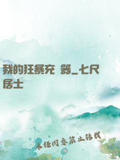 我的狂暴充電器
