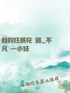 我的狂暴充電器