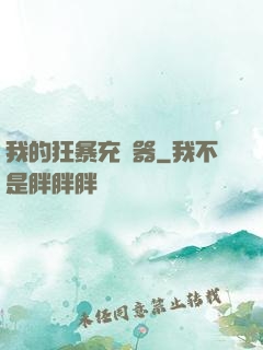 我的狂暴充電器