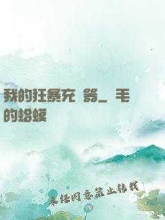 我的狂暴充電器