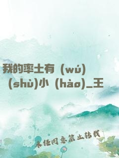 我的率土有無(wú)數(shù)小號(hào)
