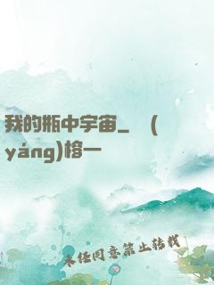 我的瓶中宇宙