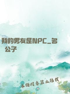 我的男友是NPC