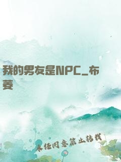 我的男友是NPC