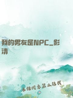 我的男友是NPC