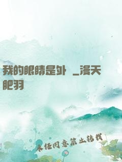 我的眼睛是外掛