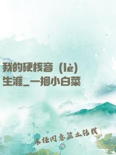 我的硬核音樂(lè)生涯