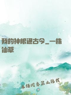 我的神眼通古今