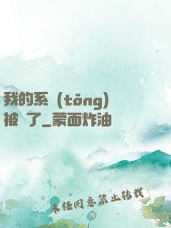 我的系統(tǒng)被搶了