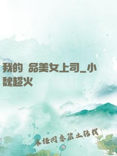 我的絕品美女上司