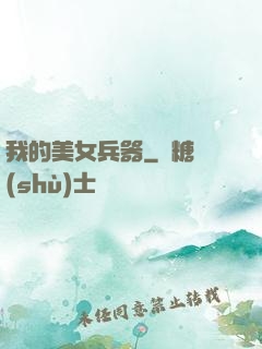 我的美女兵器