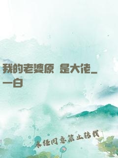 我的老婆原來是大佬