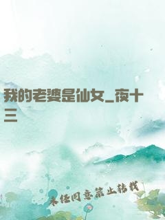我的老婆是仙女