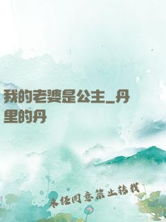 我的老婆是公主