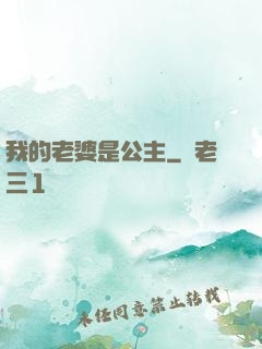 我的老婆是公主