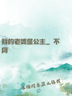 我的老婆是公主