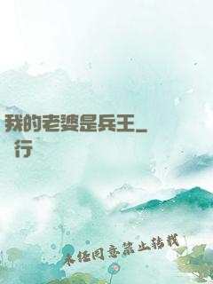 我的老婆是兵王