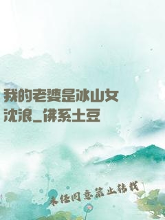 我的老婆是冰山女總載沈浪