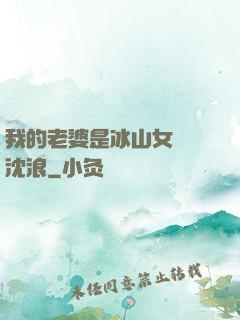 我的老婆是冰山女總載沈浪