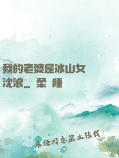 我的老婆是冰山女總載沈浪