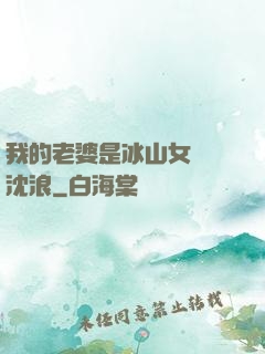 我的老婆是冰山女總載沈浪
