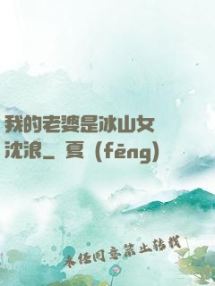 我的老婆是冰山女總載沈浪