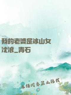 我的老婆是冰山女總載沈浪