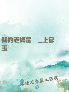 我的老婆是劍靈