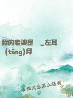我的老婆是劍靈