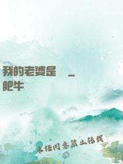 我的老婆是劍靈