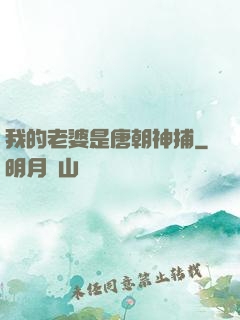 我的老婆是唐朝神捕