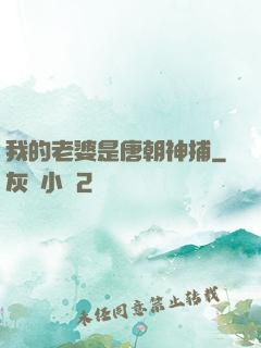 我的老婆是唐朝神捕