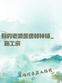 我的老婆是唐朝神捕