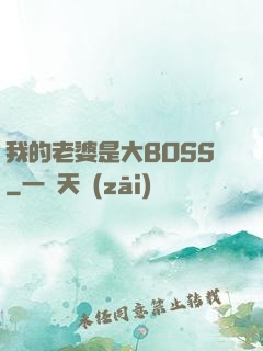 我的老婆是大BOSS