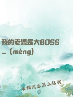 我的老婆是大BOSS