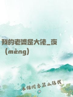 我的老婆是大佬
