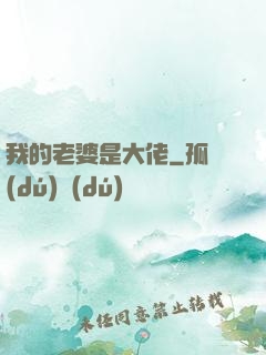 我的老婆是大佬