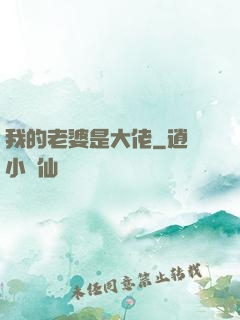 我的老婆是大佬