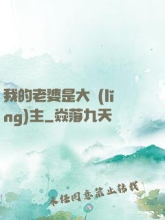 我的老婆是大領(lǐng)主