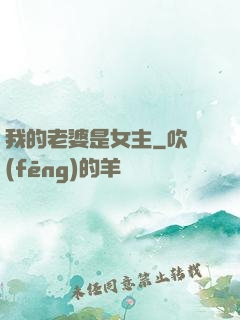 我的老婆是女主