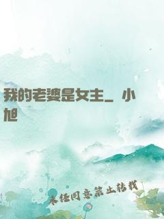 我的老婆是女主