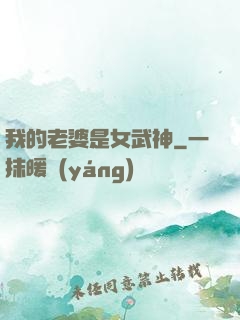 我的老婆是女武神