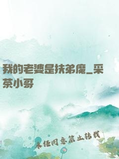 我的老婆是扶弟魔