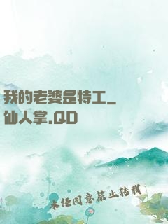 我的老婆是特工