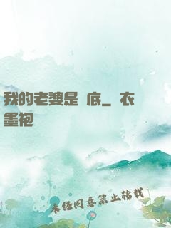 我的老婆是臥底