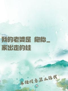 我的老婆是雙胞胎