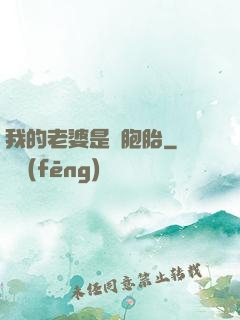 我的老婆是雙胞胎