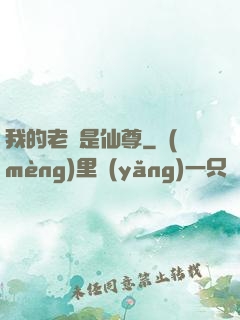 我的老師是仙尊