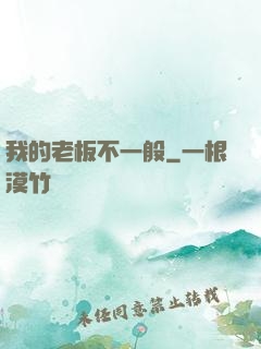 我的老板不一般