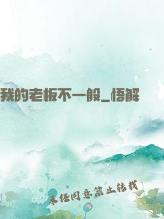 我的老板不一般